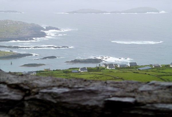 Irish Mist