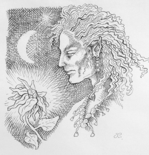 Elf Original Pen and Ink Drawing