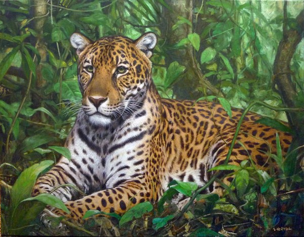 Spirit of Amazonia by Gabriel Hermida | ArtWanted.com