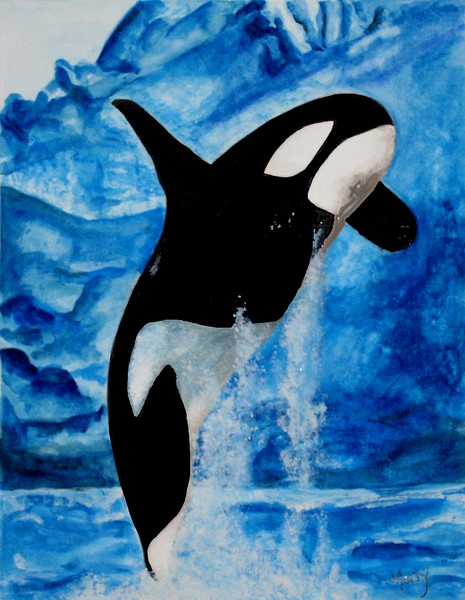 Orca