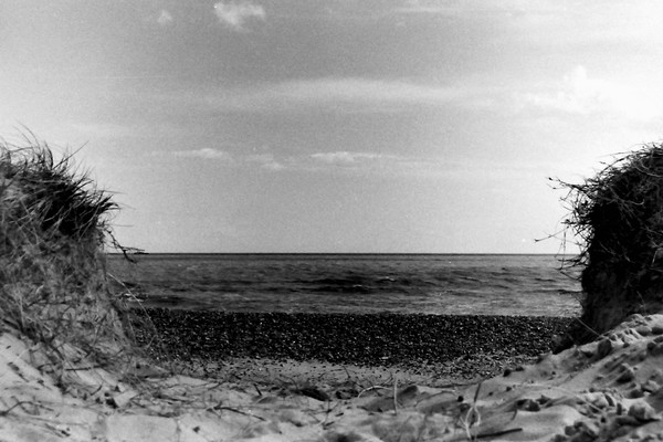Sandune View