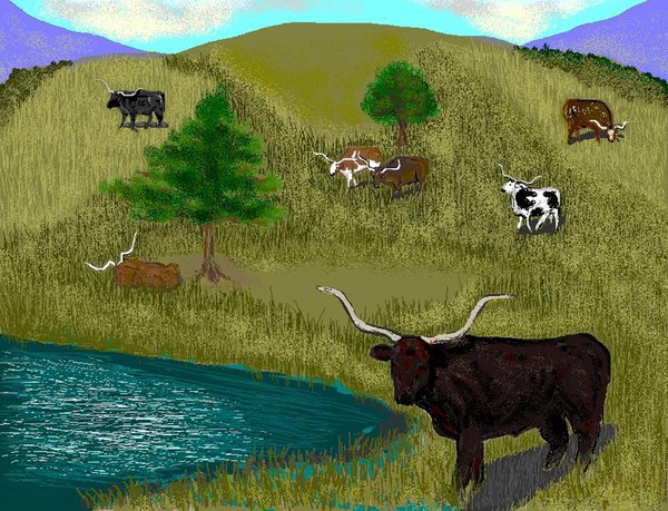 Longhorns