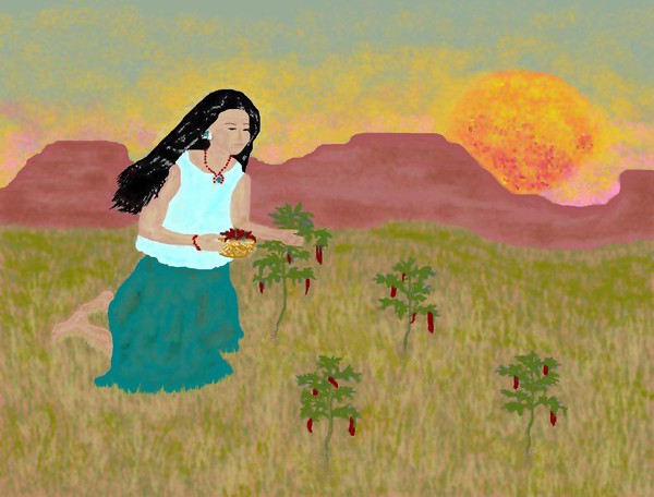 Summer Harvest
