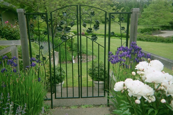 Grapevine Garden Gate