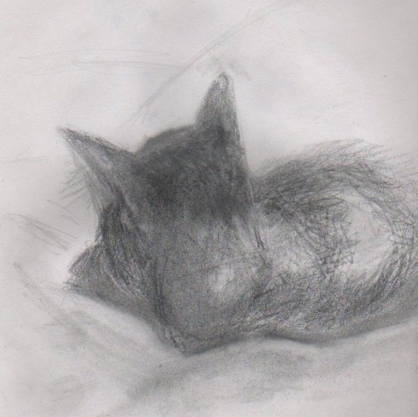 Kitten: Coquine