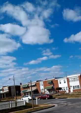 Rabbit In The Sky
