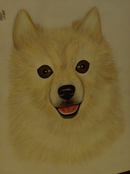 roberts artwork-dudis