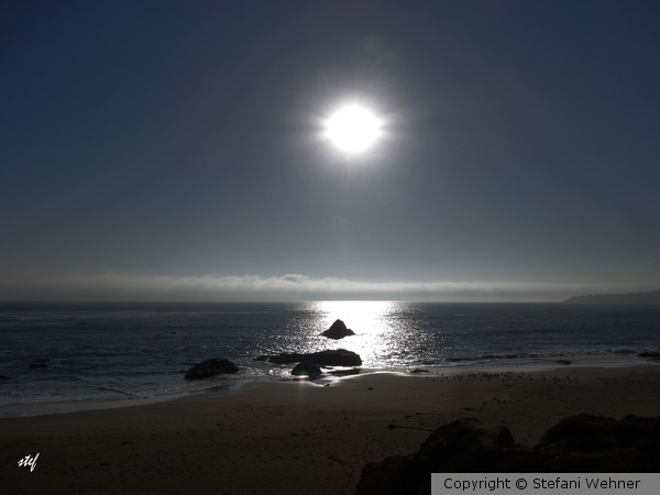 silvertouched Pacific