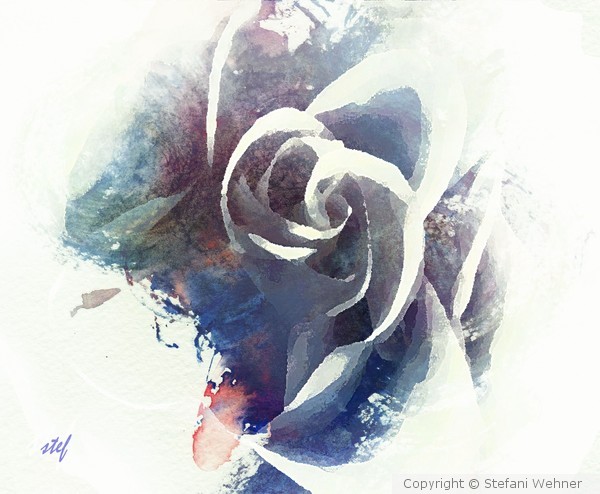 just a touch of rose