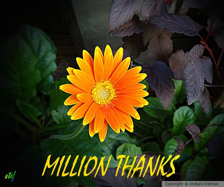 JUST FOR YOU ...
