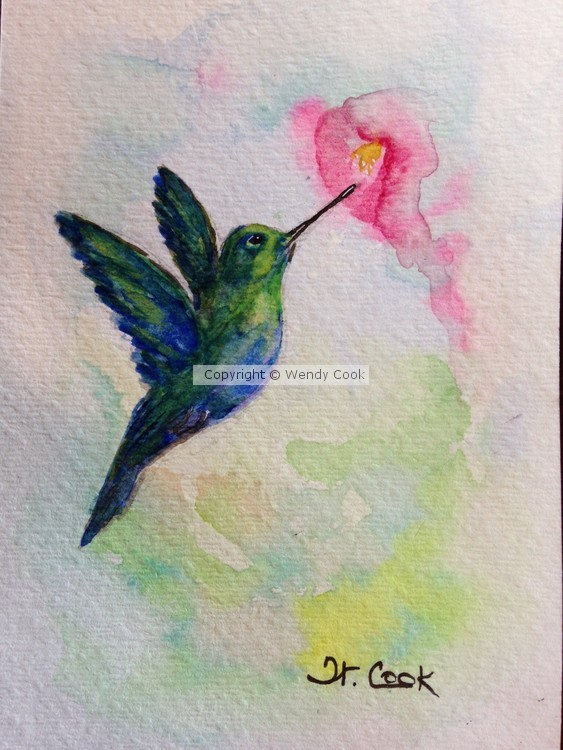 Humming bird in flight