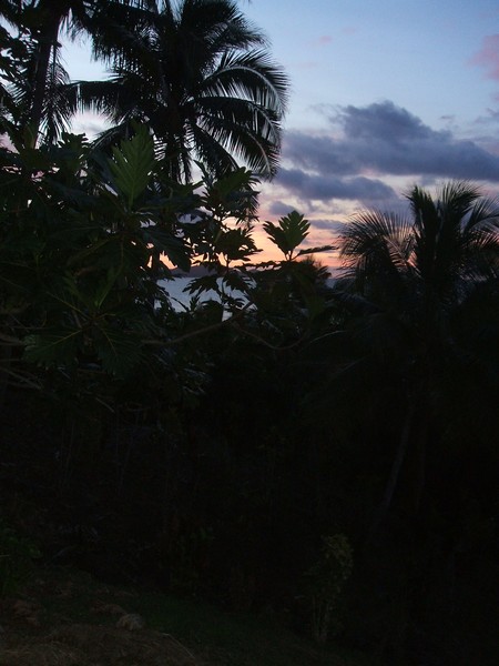 my view at home