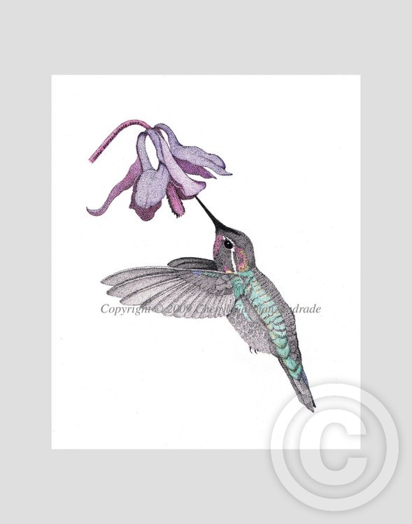 Hummingbird and Columbine Pen and Ink Pointillism