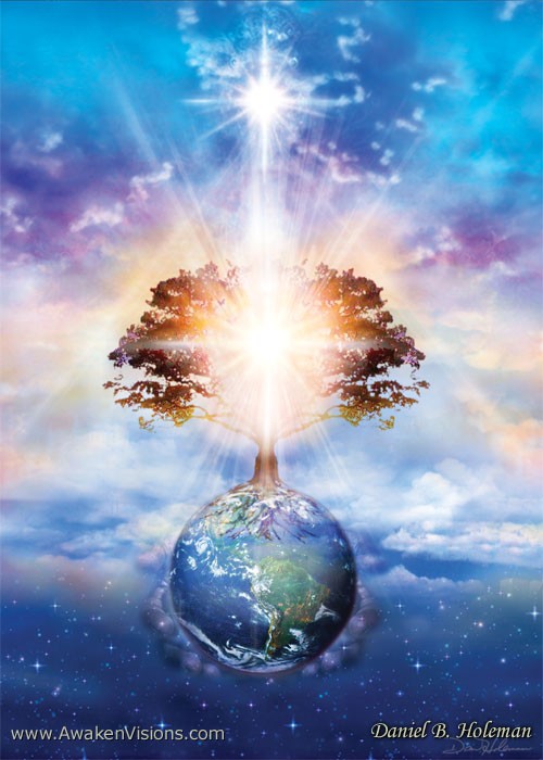 V004TreeOfLight 5x7
