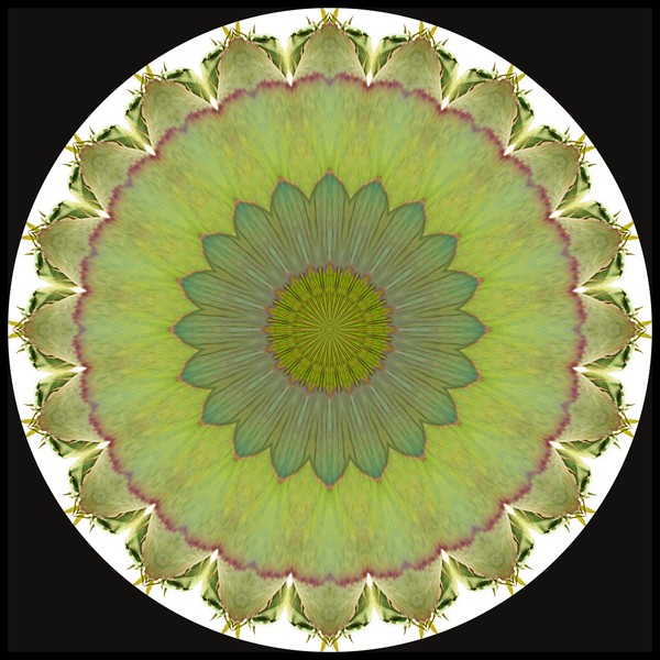 DESIGN 89
