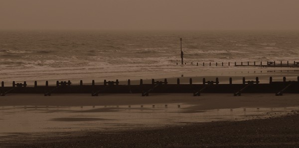 Winter Beach