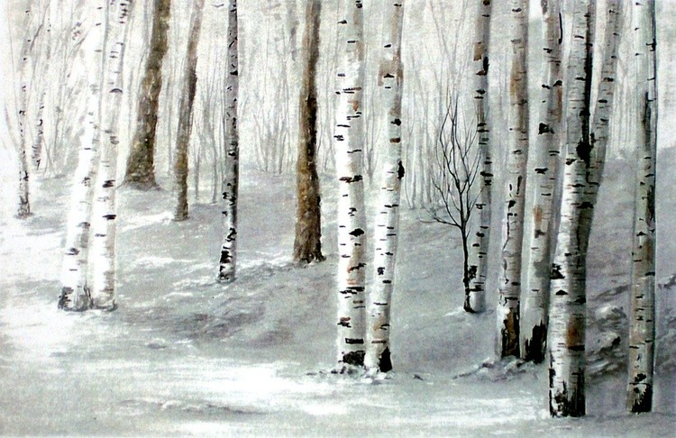 Winter Birches