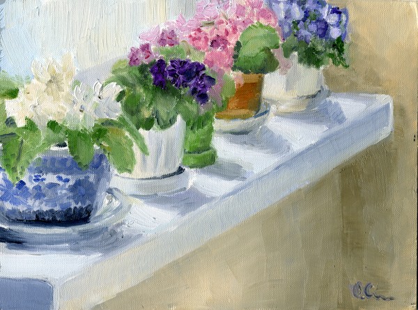 Violets galore