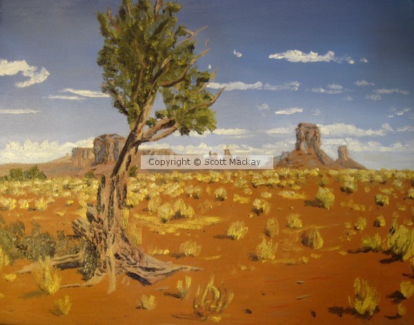 Sedona desert