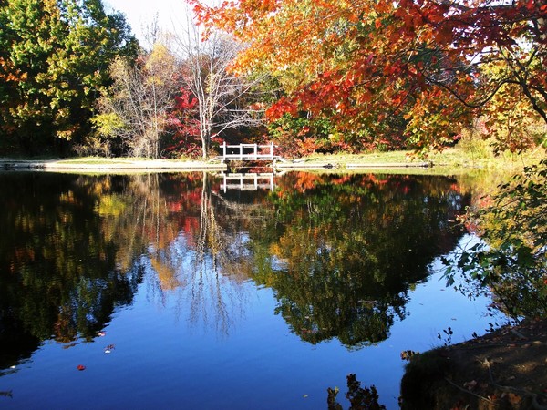 autumn reflection