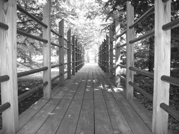 Park Bridge