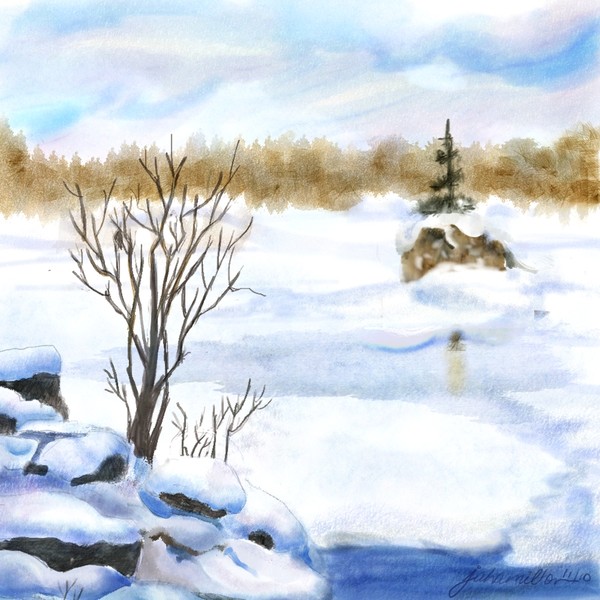Snow Study Two