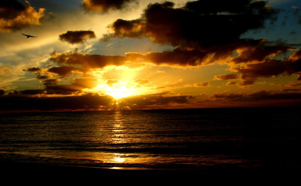 Indian Ocean Sunset