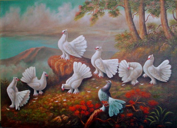 WHEN THEY THINK OF PIGEONS THE THINK OF WILD