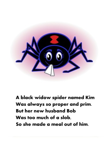 A Black Widow Spider