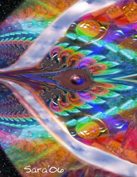 Bird of Paradise