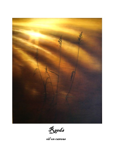 Reeds