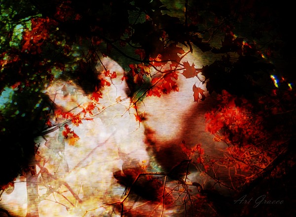 Other Kisses