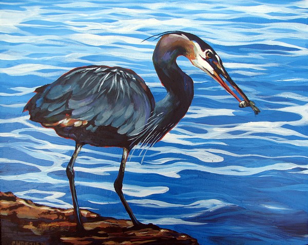 Blue heron