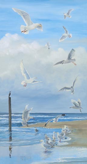 Gathering Of Gulls