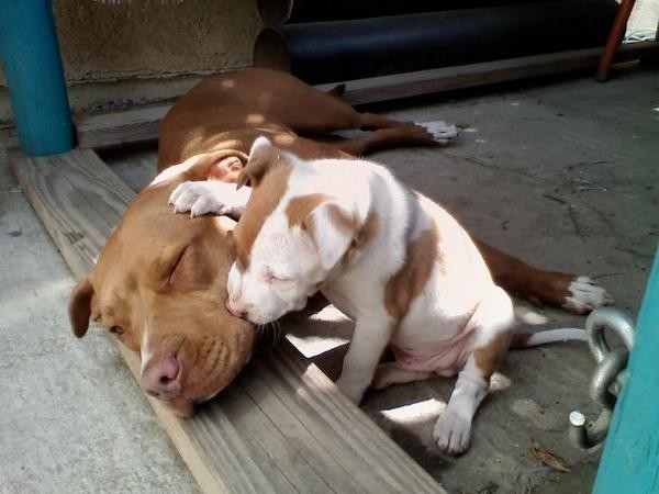 Lucy & Ottie