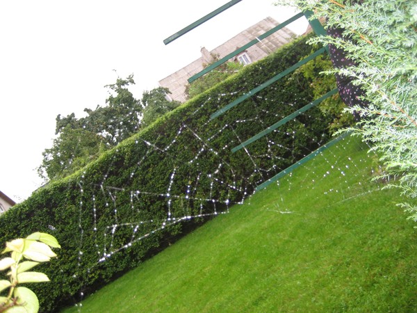 Spider net.