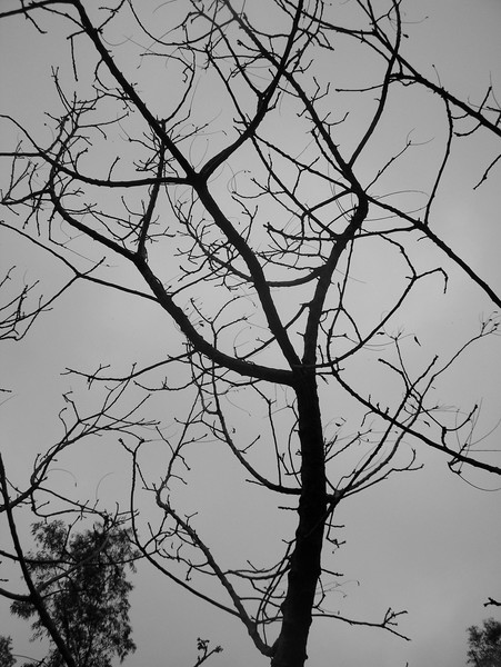 Untitled 20