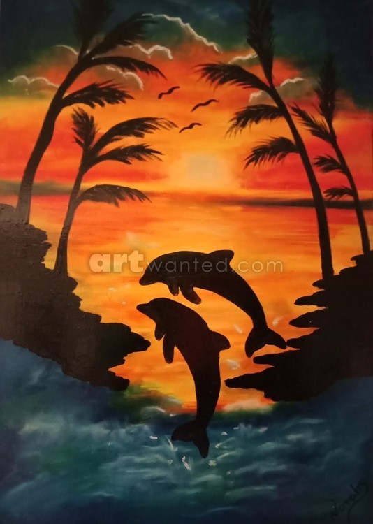 Dolphins Play 