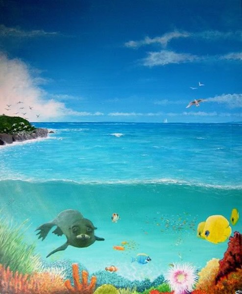 Ocean 50/50