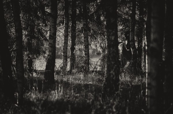 K5 S2389 Edit