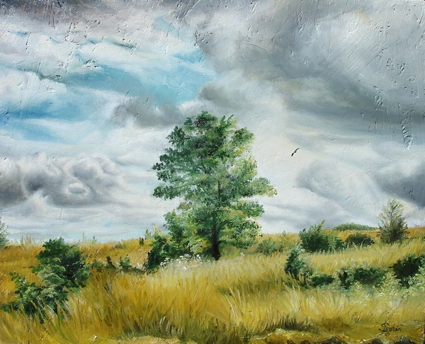 Solitude