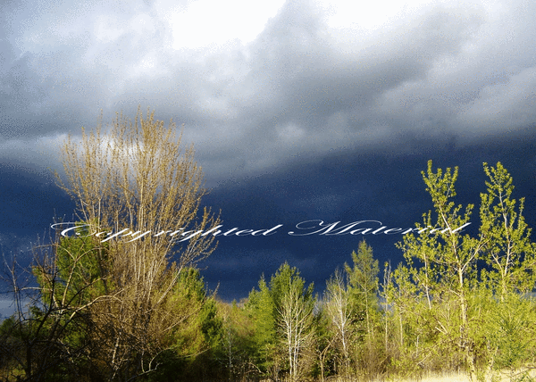 Approaching Storm