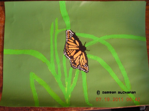 butter fly on grass 