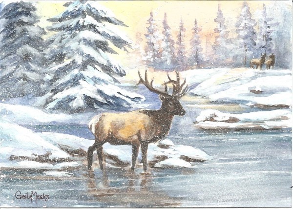 elk6