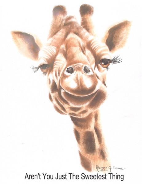 Penolope-Giraffe