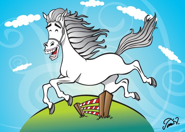 Lipizzaner Lipicanec