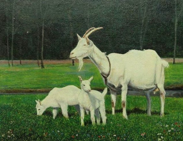 Goat with Lambs