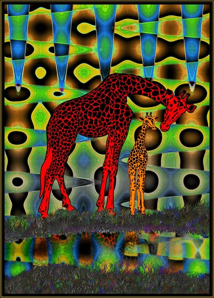 Giraffes
