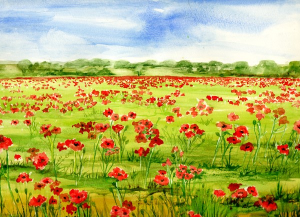 Poppy Field