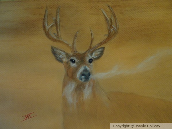 THE BUCK STOPS HERE!!!! MIXED MEDIA.